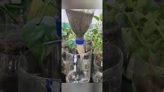 how to make self watering planter diy schoolactivity education environment earthday upcycling