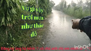 Thăm Bẫy Rắn \\