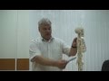 Чем можно вылечить тяжесть в ногах ниже колена