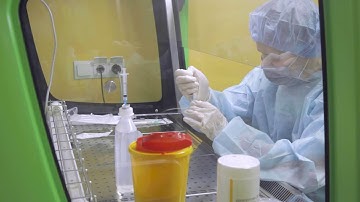 In-situ contour bioprinting of skin tissue on a mouse