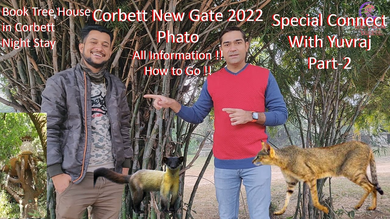 💥 PHATO Corbett New Gate 2022 💥🔥 New Attraction-Tree House 🔥 💥Special Connect with Yuvraj Part-2💥