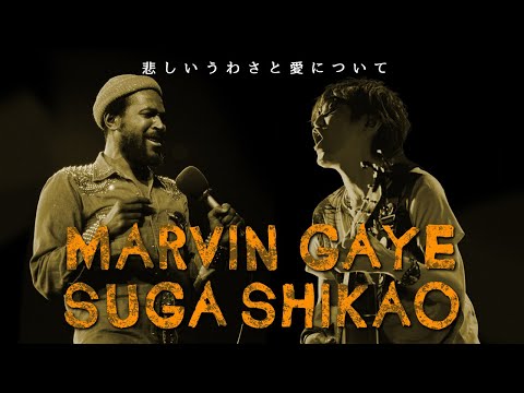 マーヴィン・ゲイ vs. スガシカオ - 悲しいうわさと愛について