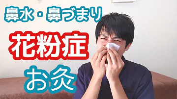 تحميل 足つぼと花粉症 鼻づまりはツラいよ