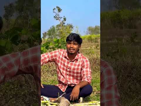 Wait for end🤣#gannabadi#gannekikheti#funny#comedyreel#kisancomedyvideo#harshpushptodekevideo