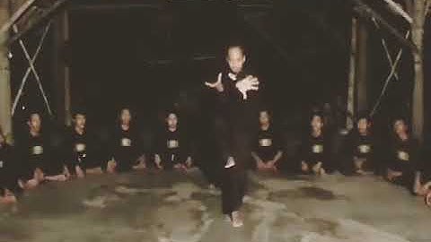 tehnik dan jurus silat terlarang psht yang pernah mendunia