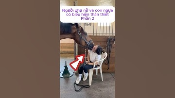 [P.2] Người phụ nữ và con ngựa có biểu hiện thân thiết #shorts