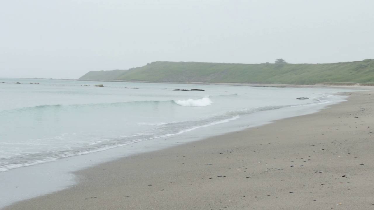 cork stopper Praa Sands Cornwall - July 2016