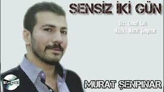 Murat Şenpınar - Sensiz iki Gün Resimi
