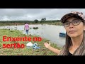 ENCHENTE 😱/ TRANSBORDOU AS REPRESAS/ VEJA A QUANTIDADE DE ÁGUA POR TODA FAZENDA! 😱