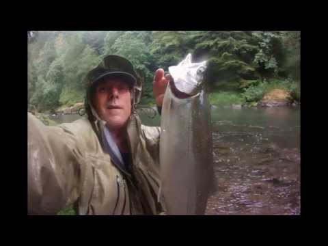 Fish Summer Steelhead (12 foot noodle rod) 