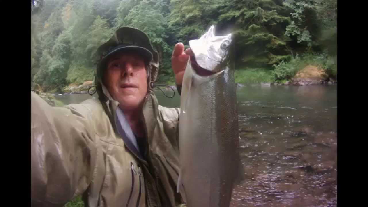Fish Summer Steelhead (12 foot noodle rod) YouTube