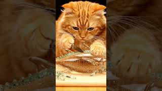 cat cutting glass fish #relaxing #satisfying #funnycartoon #asmr #aicat