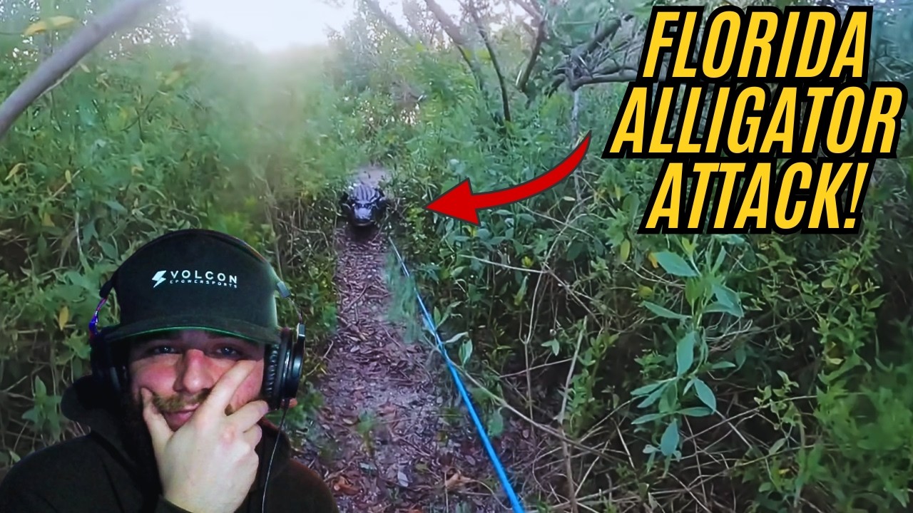 DON'T BE THIS GUY! Chased By Big Alligator! *REACTION*