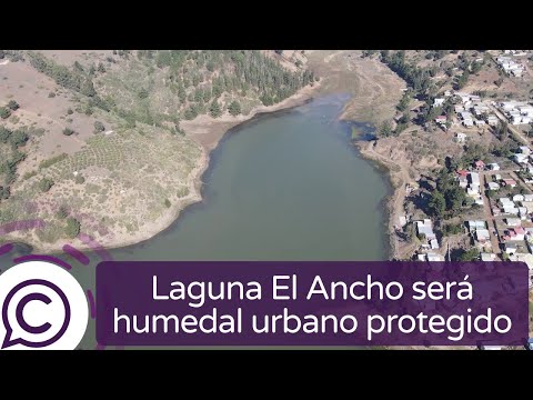 Laguna El Ancho será declarado humedal urbano protegido