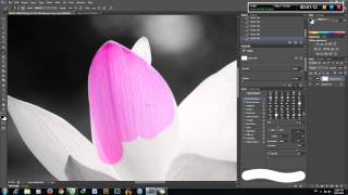 HD blend màu cục bộ. How to creat color splash effect photoshop! screenshot 1