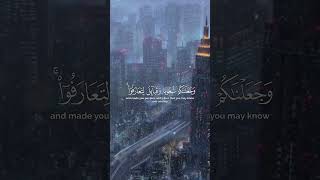 يَا أَيُّهَا النَّاسُ إِنَّا خَلَقْنَاكُم مِّن ذَكَرٍ وَأُنثَىٰ ِ  #quran