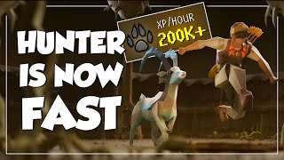 Hunter Is FASTER Than EVER - Rumours Blocking & Setup (OSRS)