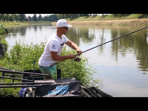 Czech League Competition | Morava 2025