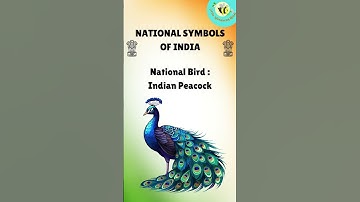 Thumbnail of National Symbols of India 🇮🇳 | Learn with Fun for Kids #littlewonderingminds #nationalsymbolofindia