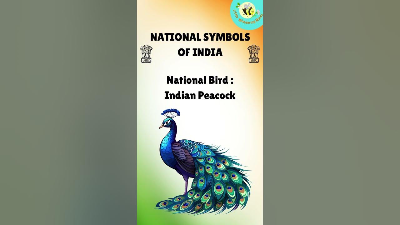National Symbols of India ๐ฎ๐ณ | Learn with Fun for Kids #littlewonderingminds #nationalsymbolofindia National Symbols of India ๐ฎ๐ณ | Learn with Fun for Kids #littlewonderingminds #nationalsymbolofindia