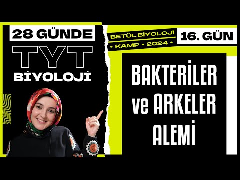 16) Bakteriler Alemi, Arkeler Alemi | 9. Sınıf Biyoloji | 2024 TYT Biyoloji Kampı 16. Gün