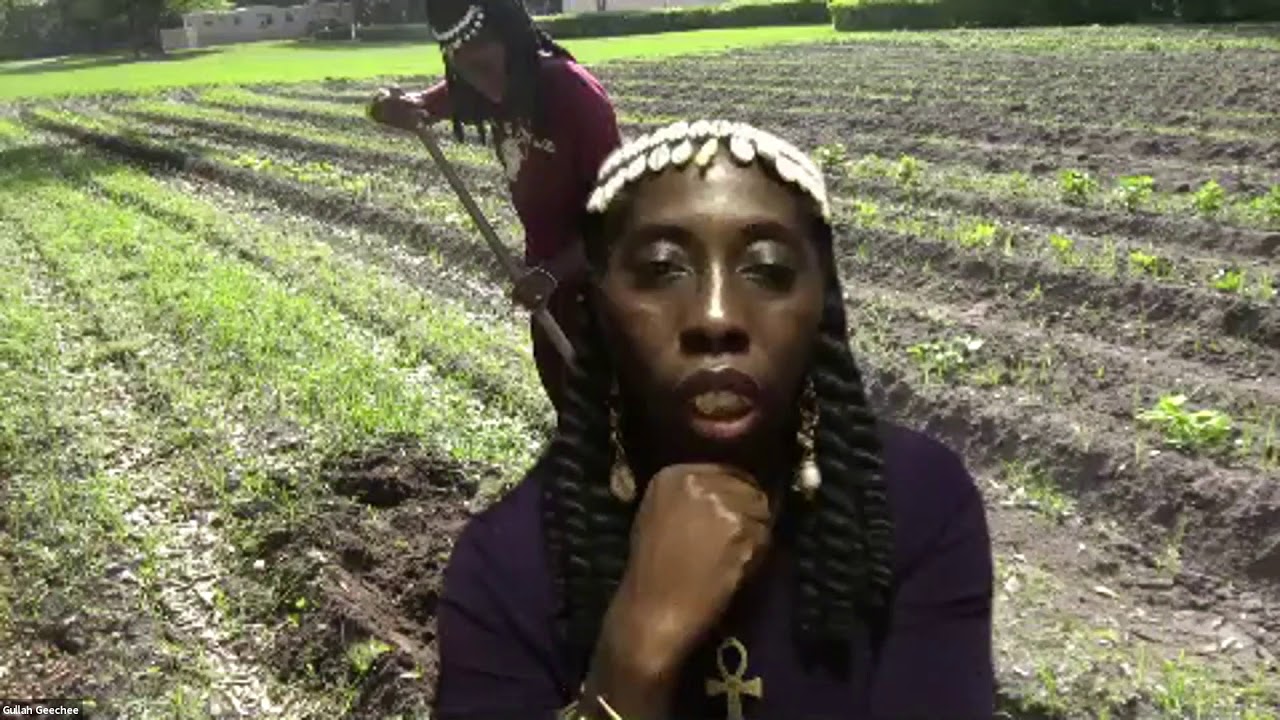 Gullah/Geechee Land Lesson 3Saving Heirs Property YouTube