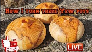 Yew pots for dried stems