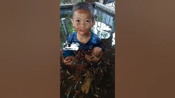 Bất Ngờ Phát Hiện Cậu Bé Vô Hồ Cá Betta Chỉ Để Thử Lòng