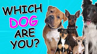 Which Dog Breed Are You? ✅ Take this Personality Test and Find Out!