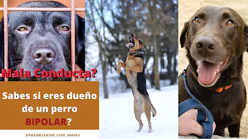 ¿Qué perro es bipolar?