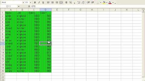 How to Use Format Menu in Excel 2003