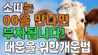 소띠 나이별 행운의 색상,귀인띠,개운법 | 이 교수의 생활 풍수