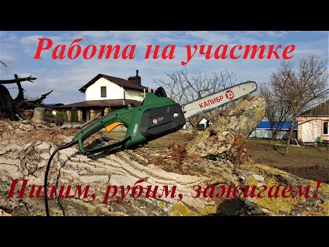 Бейне: Шынжырлы аралар үшін ең жақсы отын дегеніміз не?