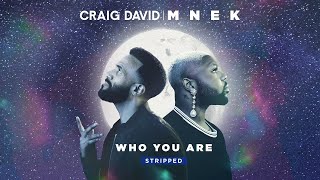 Vignette de la vidéo "Craig David & MNEK - Who You Are (Stripped) (Official Audio)"