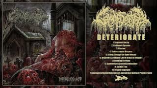 GAMMA SECTOR - DETERIORATE [FULL-LENGTH] (SLAMMING BRUTAL DEATHCORE - 2025)