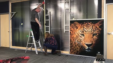 How to Use the REXframe Fitting Wall