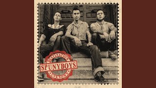 copy of The Spunyboys video