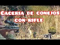 cacería de conejos con rifle pcp ,2021|rabbit hunt with pcp rifle 2021