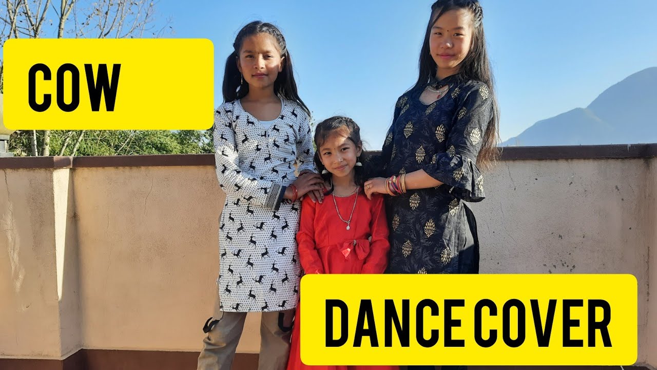 Cow songkohalpur Expresscover dance