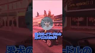 【ストグラ】 心温まるエピソードがナツメの解釈でたじろぐ空とぷちおww【空衣御侍/なつめ先生/TUTTI/土田ぷちお】【グラセフ】