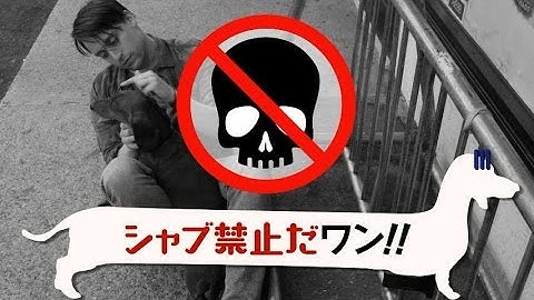 狂ったトンデモマナー映像!!／映画『トッド・ソロンズの子犬物語』マナー映像