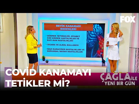 Beyin Kanamasına Sebep