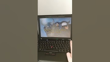 Libreboot + Parabola Linux Setup || ThinkPad x200