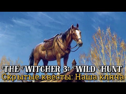 Ведьмак 3. Наша кляча ► Дикая Охота: Скрытые квесты