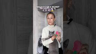 Способы продлить жизнь питомцу | wb: #WW134270