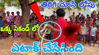 Indian Rat snake non venomous  snake rescue inti Mundra Gonegandla {9966333589} WhatsApp