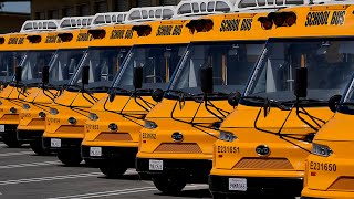 Famous Everything You Need to Know About Electric School Buses Net Worth