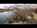 Bacia do Okavango