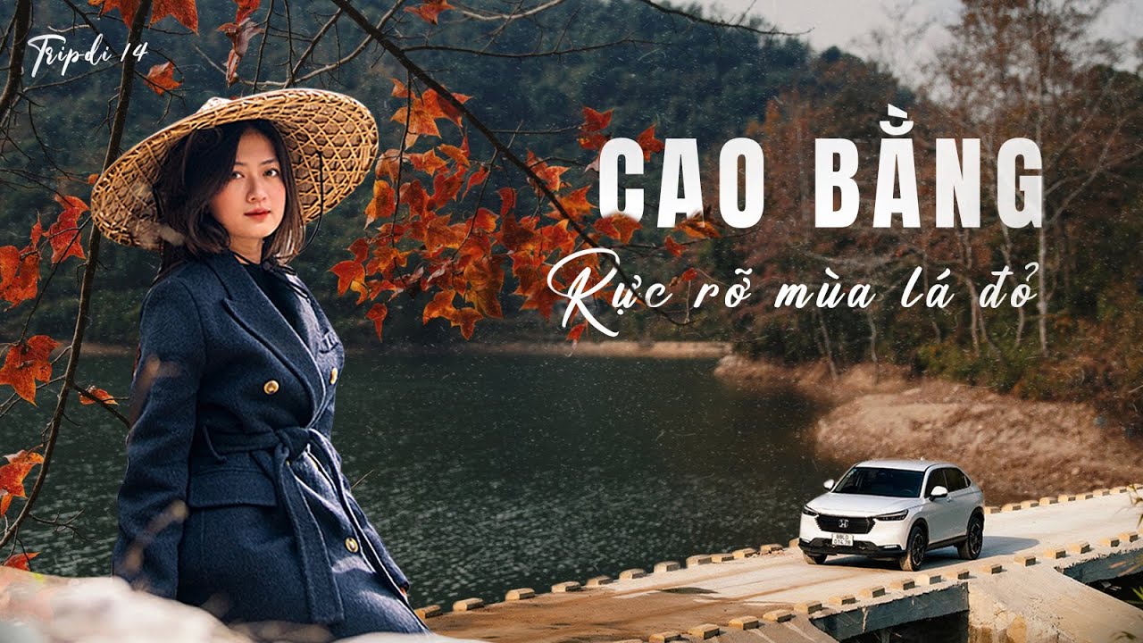 Khám phá CAO BẰNG | Phát hiện RỪNG LÁ ĐỎ rực rỡ như trời Âu | Tripdi 14