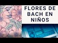 Flores de Bach en Niños